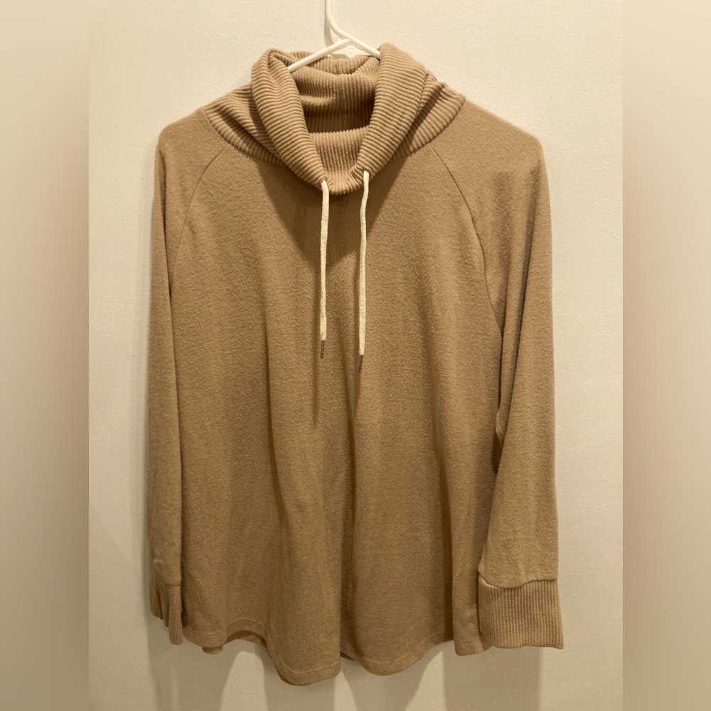 Brown turtleneck